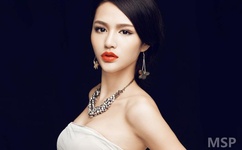 谁把黄光裕弄进去的